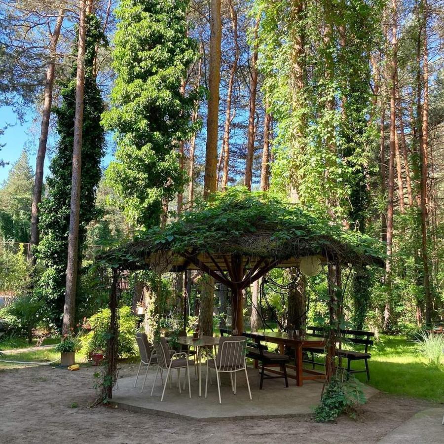 Vila Dunavski Raj Golubac Exteriér fotografie